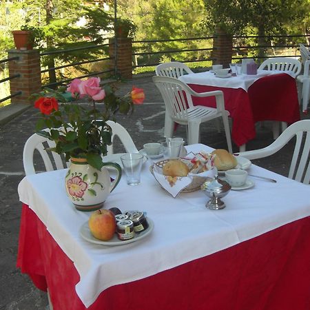 Hotel Il Poggetto Castellina Marittima Luaran gambar